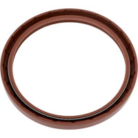 Армированная манжета DINROLL TC 110 130 12 FKM70-75 2001001482121