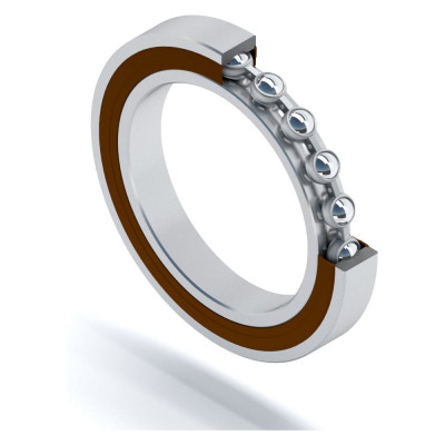 Подшипник DINROLL 6910-2RS 2001000401925