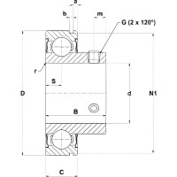 Подшипник DINROLL C-UC204-12 2001000978311