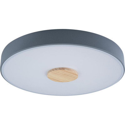 Накладной светильник LOFT IT Axel 2 10003/24 Grey