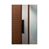 Душевая дверь Aquanet Pleasure AE60-N-160H200U-BT 160 00273600