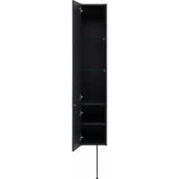 Шкаф-пенал ALLEN BRAU Reality 30 L anthracite matt 1.32002.AM 00274364