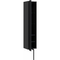 Шкаф-пенал ALLEN BRAU Reality 30 L anthracite matt 1.32002.AM 00274364