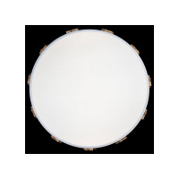 Накладной светильник LOFT IT Axel 5 10006/36 White