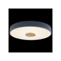 Накладной светильник Axel 2 LOFT IT 10003/24 Grey