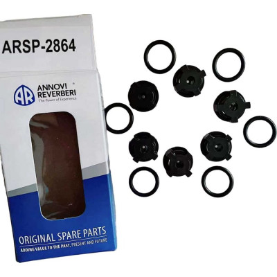 Комплект клапанов ACG KIT A (к помпе RR 1520) 2864
