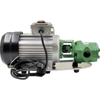 Насос для масла Петролл Petroll Lyra 100 8031