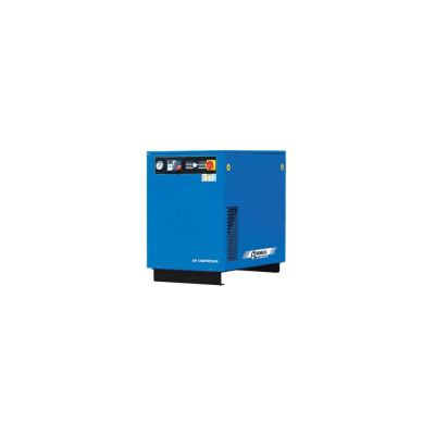Компрессор Remeza ВК 10Е-8 502230
