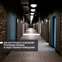 Светильник TDM ELECTRIC НПБ1107 черный, круг, ресничка, 100 Вт IP54 SQ0303-0056