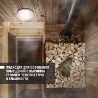 Светильник TDM ELECTRIC НПБ1107 черный, круг, ресничка, 100 Вт IP54 SQ0303-0056