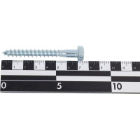 Шуруп НАКРЕПКО с ш/гр головкой оцинк 8х70 75 шт. 107541