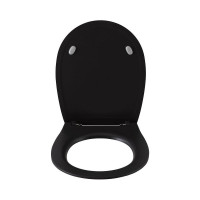 Крышка-сиденье для унитаза ALLEN BRAU Fantasy Smartfix, Soft-Close 4.11005.AN антрацит 00269467