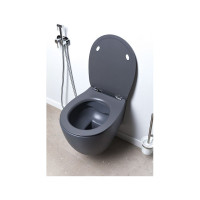 Крышка-сиденье для унитаза ALLEN BRAU Fantasy Smartfix, Soft-Close 4.11005.AN антрацит 00269467