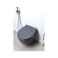 Крышка-сиденье для унитаза ALLEN BRAU Fantasy Smartfix, Soft-Close 4.11005.AN антрацит 00269467