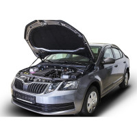 Газовые упоры капота АвтоУпор для Skoda Octavia A7 2013-2019, 2 шт., USKOA7012