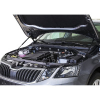 Газовые упоры капота АвтоУпор для Skoda Octavia A7 2013-2019, 2 шт., USKOA7012