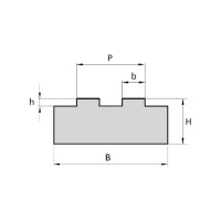 Направляющая для цепи ISKRA 12B-2 тип 2T H=15, NC12b2T15-ISKRA