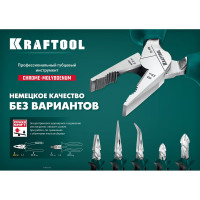Комбинированные плоскогубцы KRAFTOOL 200 мм 22011-1-20_z01