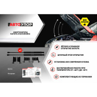 Газовые упоры капота АвтоУпор для Mitsubishi L200 IV 2006-2015/Pajero Sport II 2008-2016, 2 шт., UMIL20011