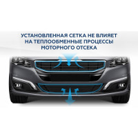 Индивидуальная защитная сетка радиатора Rival 1000x500 мм, H20 Alu черная, 1 шт. INDIV.ZS.2001.3