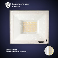 Светодиодный прожектор RITTER серия PROFI 230В 50 Вт 4000К 5000Лм IP65 черный 53417 8