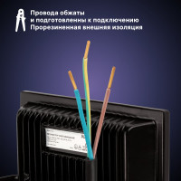 Светодиодный прожектор RITTER серия PROFI 230В 50 Вт 4000К 5000Лм IP65 черный 53417 8