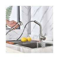 Смеситель для кухни FASHUN с вытяж лейкой, нерж 304, ф35 A56009