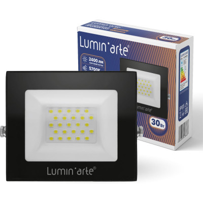 Светодиодный прожектор Lumin'arte 30Вт, 5700К Холодный свет, IP65, 2400Лм, черный LFL-30W/06