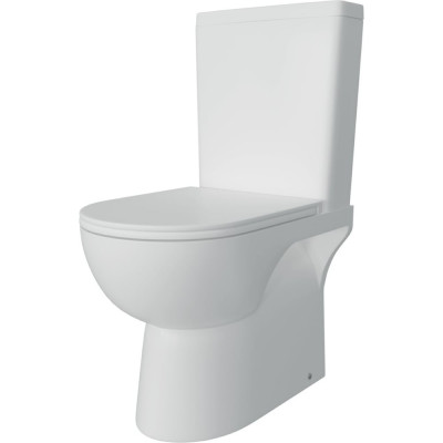 Унитаз напольный Teymi Aina безободковый, сиденье микролифт T40205 ЦБ-00269470