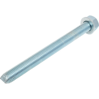 HIMTEX Шпилька для хим.анкеров 5.8 кл.пр. с гайкой и шайбой М20x220 SKA20220