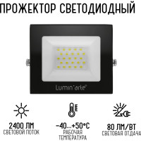 Светодиодный прожектор Lumin'arte 30Вт, 5700К Холодный свет, IP65, 2400Лм, черный LFL-30W/06