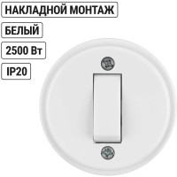Выключатель 1-клавишный открытой установки TDM ELECTRIC IP20 10А белый "Ретро" SQ1806-0505