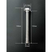 Болт нержавеющий 23 Болта 12x100 мм, DIN 933, 10 шт. АС1301210091G07