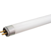 Лампа люминесцентная LightBest LBL T5 8W 3000K G5 701071033