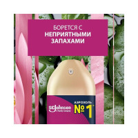 Освежитель воздуха GLADE аэрозоль, Японский сад, 300 мл 864942