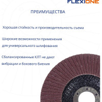 Круг лепестковый конический Flexione 125x22.2 мм, Р40 10000498