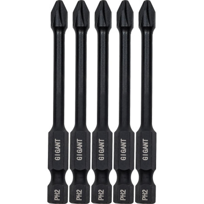 Торсионные биты PH2, 70 мм, 5 шт, S2 Gigant GBM TR5270