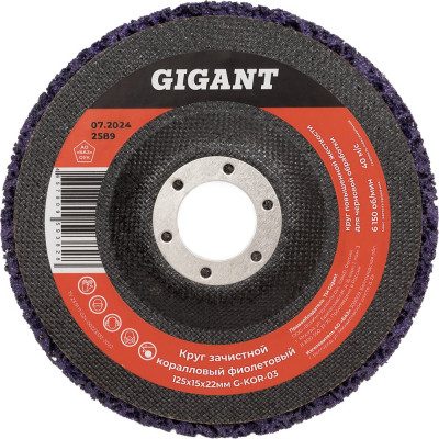 Диск абразивный коралловый фиолетовый 125х22 мм Gigant G-KOR-03