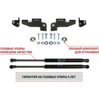 Газовые упоры капота для Nissan Pathfinder IV R52 поколение 2014-2016, 2 шт АвтоУпор UNIPAT021