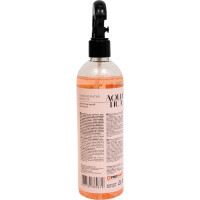 Ароматизатор воздуха Прохим Aquatica Sweet peach/Душистый персик (триггер) 350 мл Clean&Green CG8267
