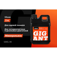 Масло 4-х тактное 10W30 2 л Gigant GDEL-05