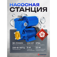 Насос самовсасывающий Forsage (230В, 50Гц, 250Вт, 30л/мин) (обмотка CU) F-PS170 ALU(61160)