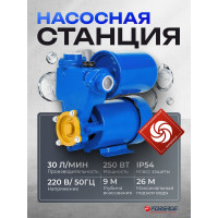 Насос самовсасывающий Forsage (230В, 50Гц, 250Вт, 30л/мин) (обмотка AL) F-PS130 ALU(61157)