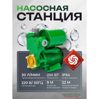 Насос самовсасывающий Rockforce (230В, 50Гц, 250Вт, 30л/мин) (обмотка AL) RF-PS170 ALU(61205)