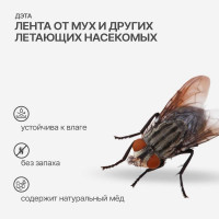 Лента липкая от мух ДЭТА Мухолов, средство инсектицидное, 1 шт. / 100 шт. кор 66700483