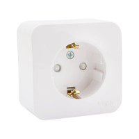 Наружная розетка Systeme Electric Blanca Белый, с заземлением, со шторками, 16А, 250В SE BLNRA011111
