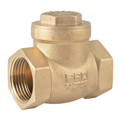 Обратный клапан PROFACTOR горизонтальный, в/в 1" PF CV 249.25