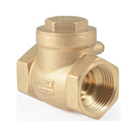 Обратный клапан PROFACTOR горизонтальный, в/в 1" PF CV 249.25