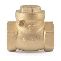 Обратный клапан PROFACTOR горизонтальный, в/в 1" PF CV 249.25