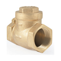 Обратный клапан PROFACTOR горизонтальный, в/в 1" PF CV 249.25